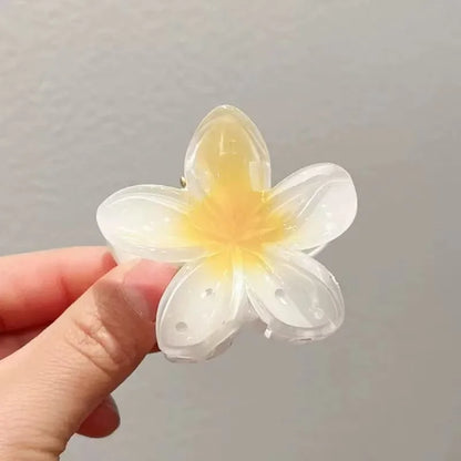 The Gradient Flower Hair Clip Set – 6 Mini Claw Barrettes for Women