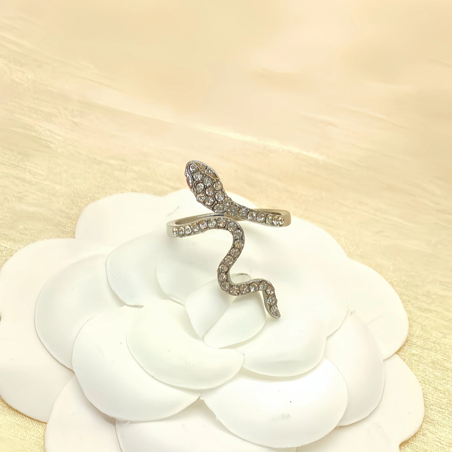 1 Piece Of Fashionable Classic Micro-Set Zircon Snake-Shaped Wrapped Women's simple Minority Designer Fashionable Index Finger R