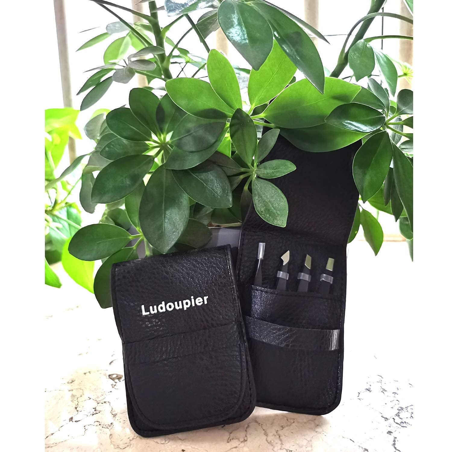 [4+1 Pieces] Tweezers Set with Travel Case, Great Precision Upgrade Professional Anti-Rust Alloy Tweezers for Women & Men, Multi-Purpose as Eyebrows Facial Hair Ingrown Hair Removal